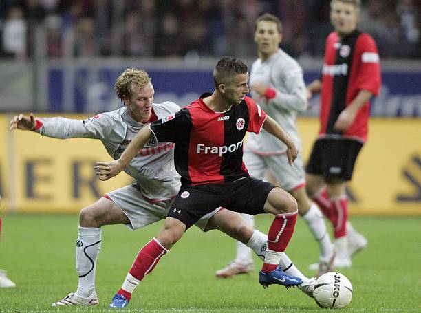 情和无畏精 情和无畏精